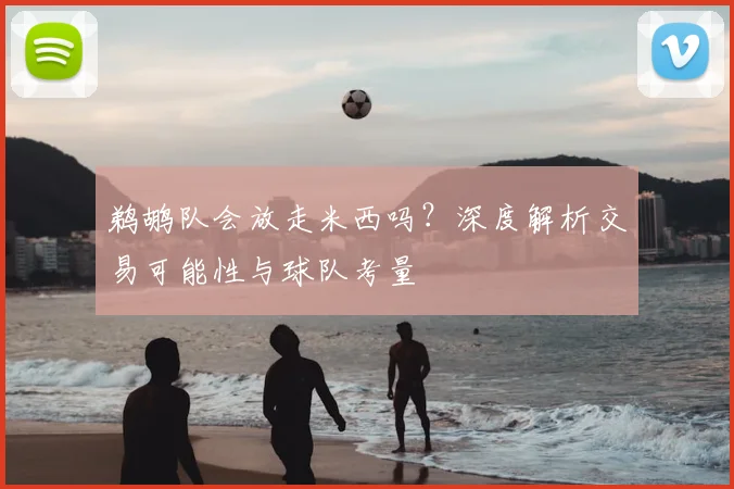 鹈鹕队会放走米西吗？深度解析交易可能性与球队考量
